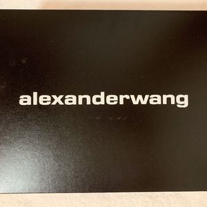 Alexander wang Shoe Box